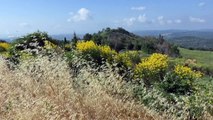Alpes-de-Haute-Provence : le maire de Montfuron espère installer un parc photovoltaique dans son village