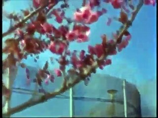 1983 Maze Prison Escape | Full Documentary HD