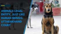 Animals legal entity, just like human beings: Uttarakhand court