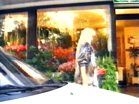 Branka Sovrlic - Ludo srce