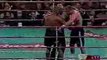 Mike Tyson vs Francois Botha Final Punch