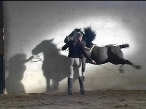 Capriole de Tornado Cabriole en main Saut d'Ecole