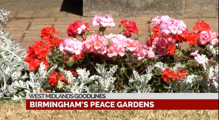 GOODLINES: July 5th 2018