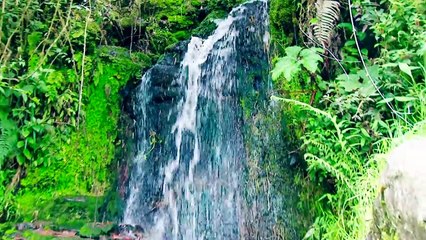 HERMANAS VASQUEZ  MIX CHOTANAS  VIDEO OFICIAL 2018 ©