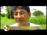 Agricultura orgânica em Mogi das Cruzes - Rede TVT