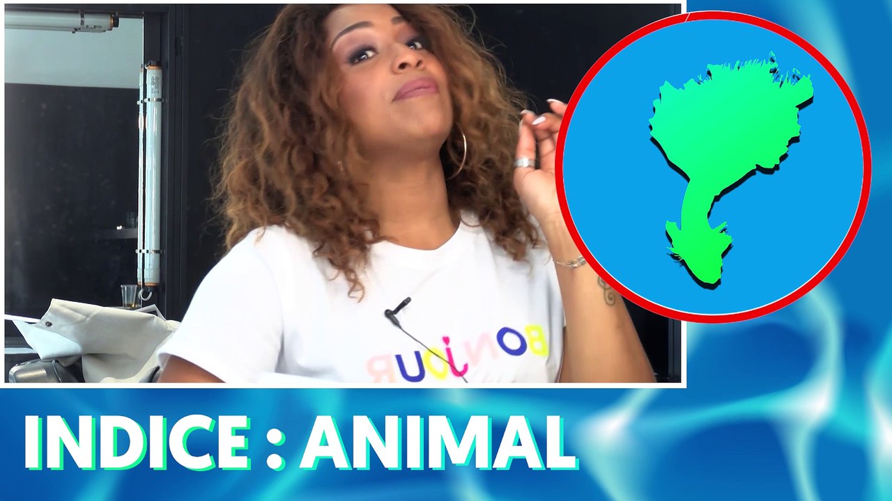 Les jeux TPMP : Les chroniqueurs au défi des ombres spéciales été, épisode 2 (Exclu Vidéo)