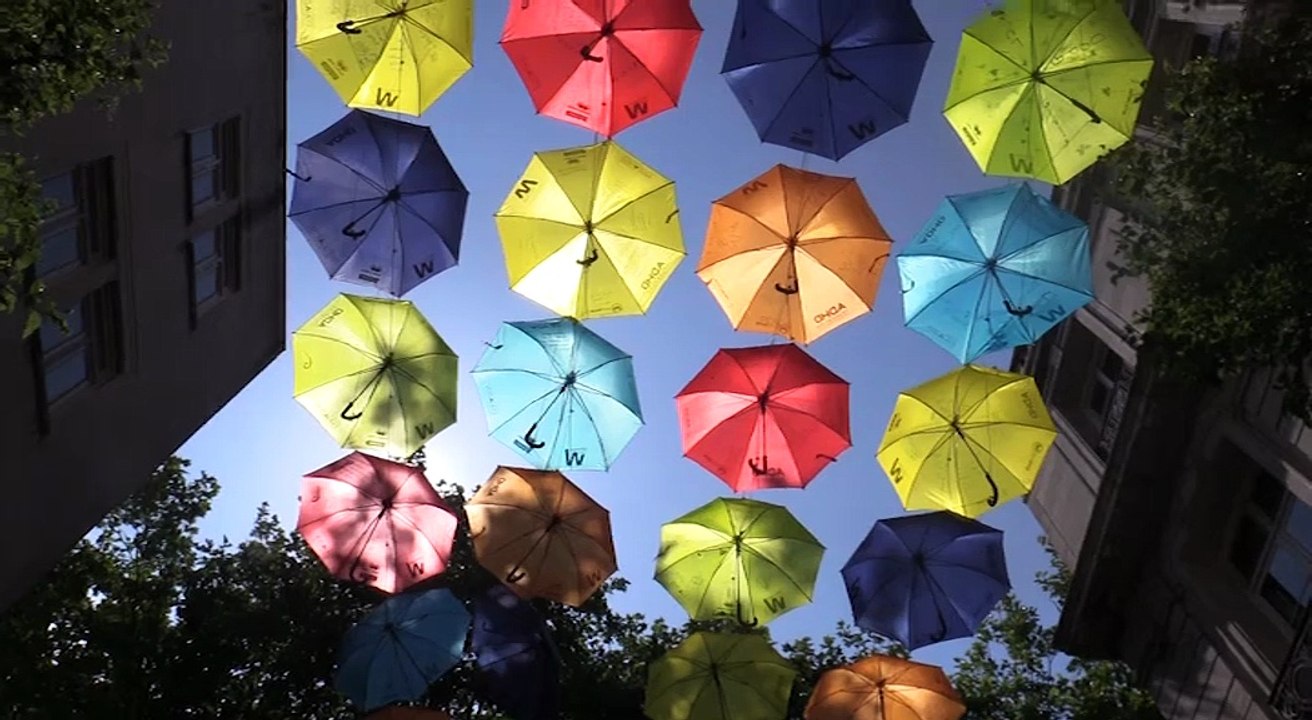 The Umbrella Project