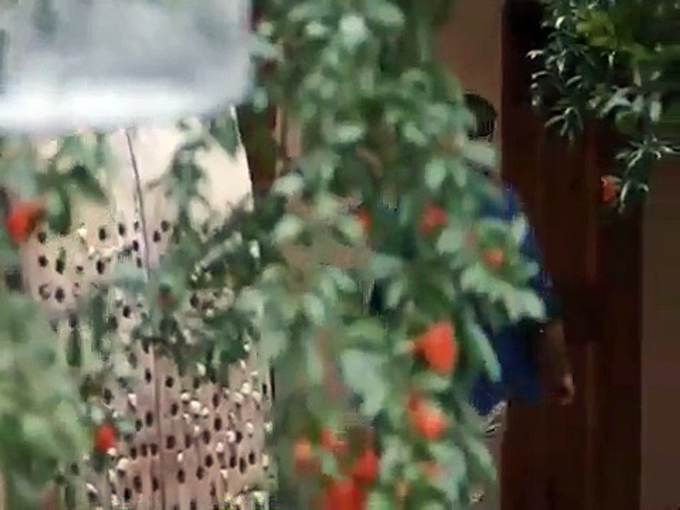 مسلسل الحب الحقيقي الحلقة 42 الثانية والاربعون