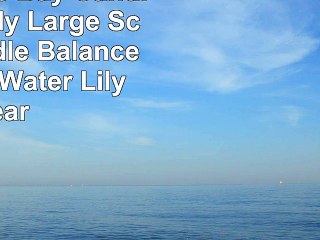 Chesapeake Bay Candle Mind  Body Large Scented Candle Balance  Harmony Water Lily Pear