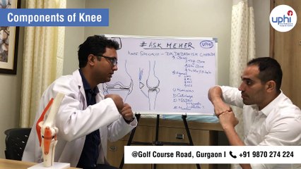 Understanding the Components of the Knee 🦵 by Dr. Debasish Chanda