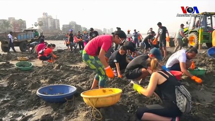 Plastik Atıklar Antartika'ya Kadar Ulaştı