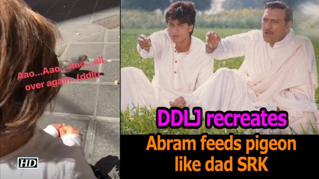 DDLJ recreates – Abram feeds pigeon like dad SRK in Europe