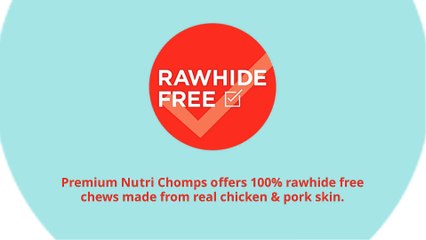 Best Non Rawhide Dog Chews