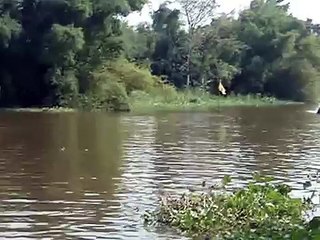 Longtail 150cc boat race in Thailand - john-tom.com