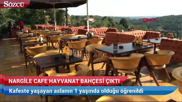 Nargile cafe hayvanat bahçesi çıktı