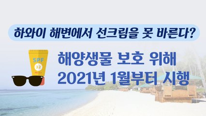 하와이 해변에서는 선크림 함부로 쓰지 마세요 / YTN