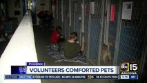 July 5: Busiest day for animal shelters