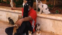 Syria's 'Catman' Gives Dozens Of Kittens In Aleppo A Home