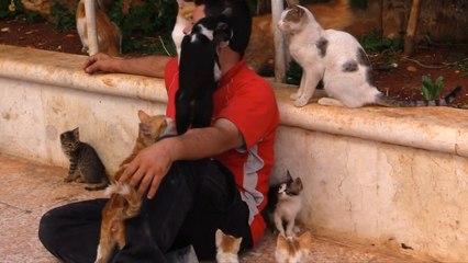Syria's 'Catman' Gives Dozens Of Kittens In Aleppo A Home