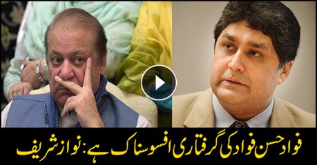Nawaz laments Fawad Hassan Fawad's arrest