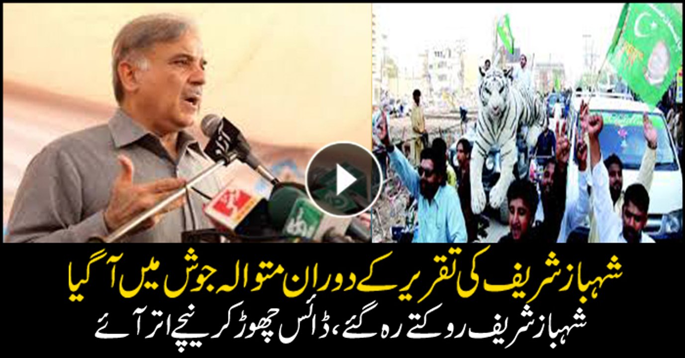 PML-N workers chants slogans during Shehbaz Sharif's manifesto speech