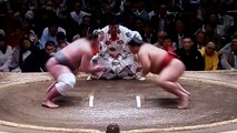 栃ノ心 vs 大栄翔 2018年大相撲夏場所9日目 20180521