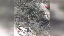 Şırnak PKK'lı Teröristin Teslim Olma Anı Kameraya Kaydedildi