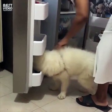 К чёрту это ваше лето...