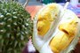Popular picks of this durian season in Penang are...