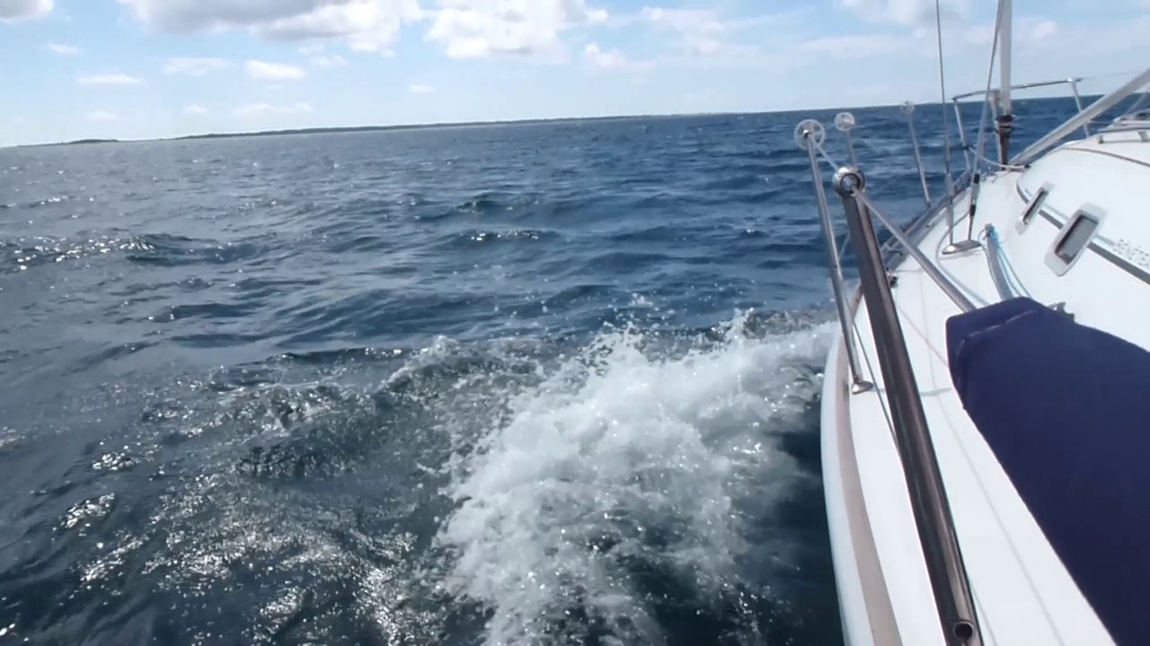 Rencontre avec les dauphins