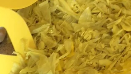 Lazos amarillos y pancartas de Lledoners, retirados por Groc&lloc