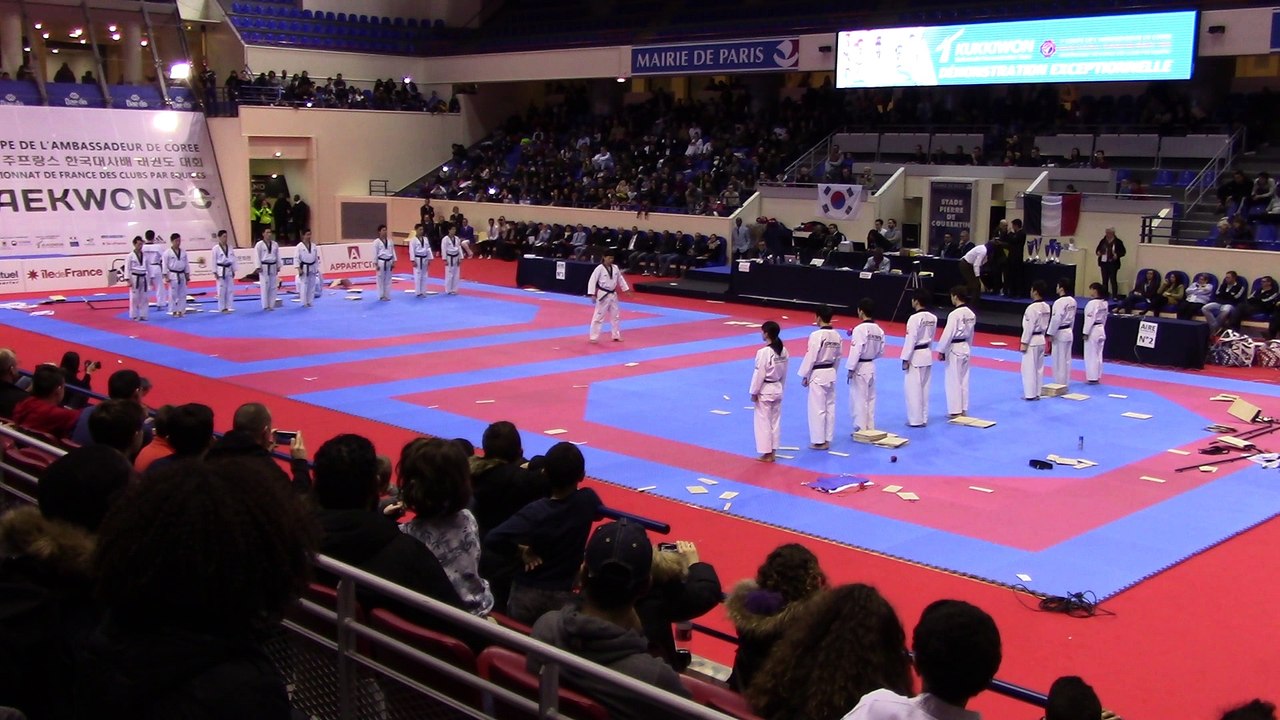 Démonstration équipe coréenne de Taekwondo