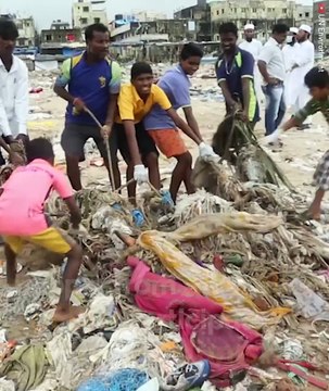 When a lawyer finds his childhood beach buried in trash, he makes a decision that Ieads to the return of a forgotten creature... Pass this on to remind everyo