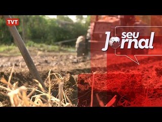 Agroecologia é apontada como saída viável para a alimentação saudável