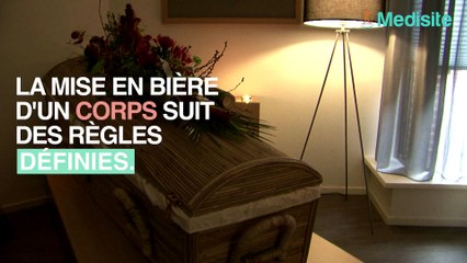 Les 5 étapes de la mise en bière