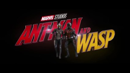 ANTMAN 2 What Happened during Infinity War Trailer 2018