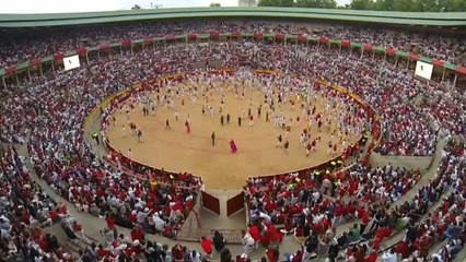 Proteste gegen Stierhatz in Pamplona