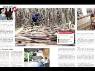 Revista do Brasil - Rede TVT