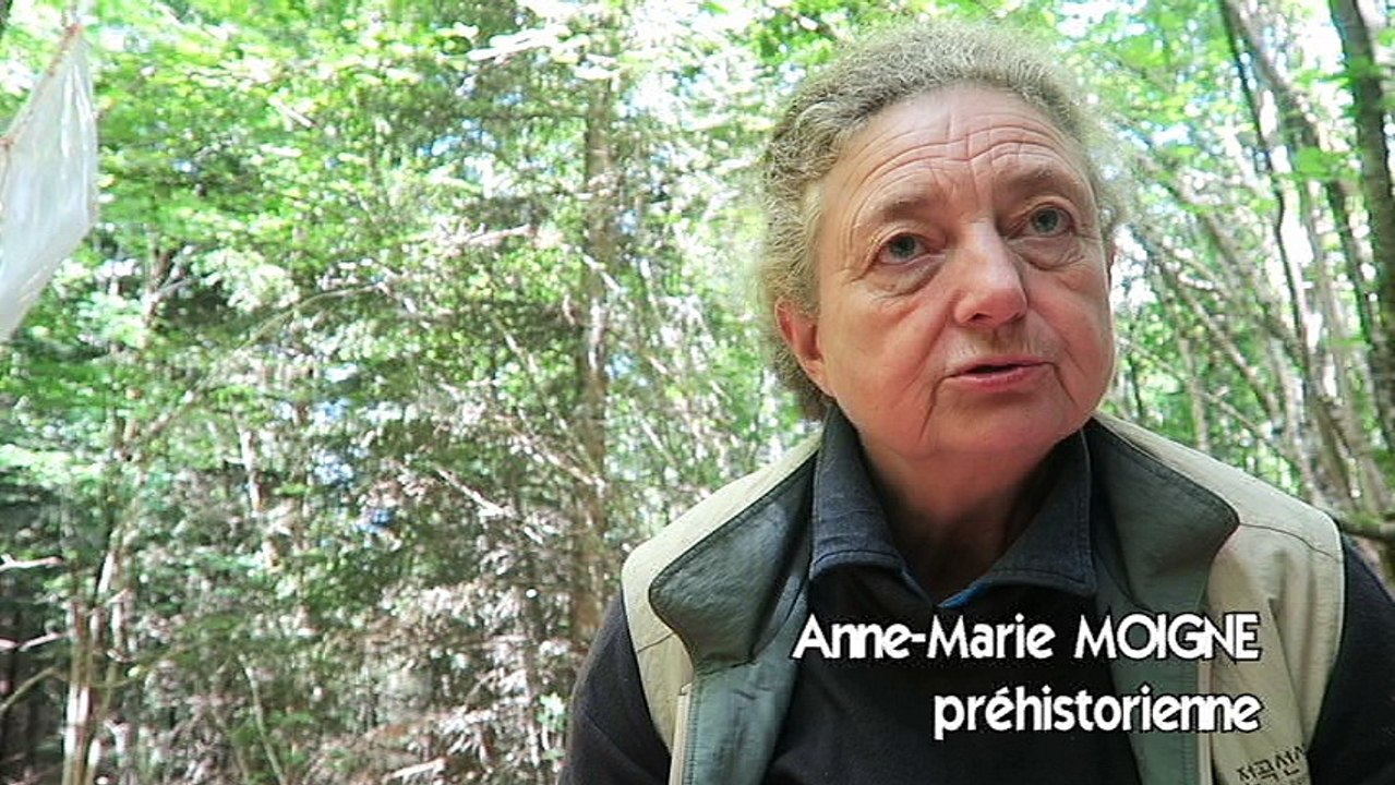Isère : des fouilles exceptionnelles dans une grotte du Vercors