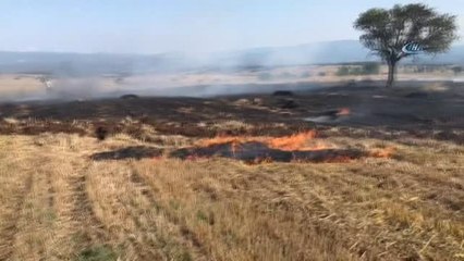 Kargadan Çıktığı Sanılan Yangında 10 Dönüm Buğday Tarlası Yandı
