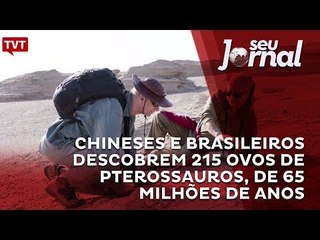 Chineses e brasileiros descobrem 215 ovos de pterossauros, de 65 milhões de anos