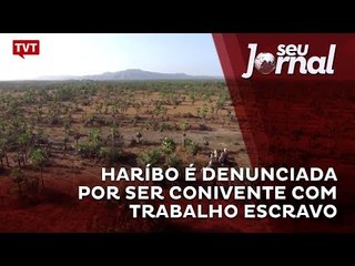 Haríbo é denunciada por ser conivente com trabalho escravo