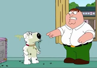 Family guy hilarious