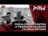 Fiscalização contra o trabalho escravo cai pela metade