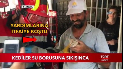 2 Yavru Kedi Su Borusuna Kaçtı!