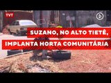 Suzano, no Alto Tietê, implanta horta comunitária