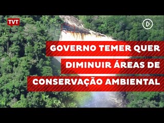 Governo Temer quer diminuir áreas de conservação ambiental