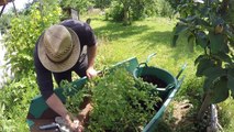 Über den Dächern von Rigotti-Land #Packesan-Challenge: Tomaten umtopfen