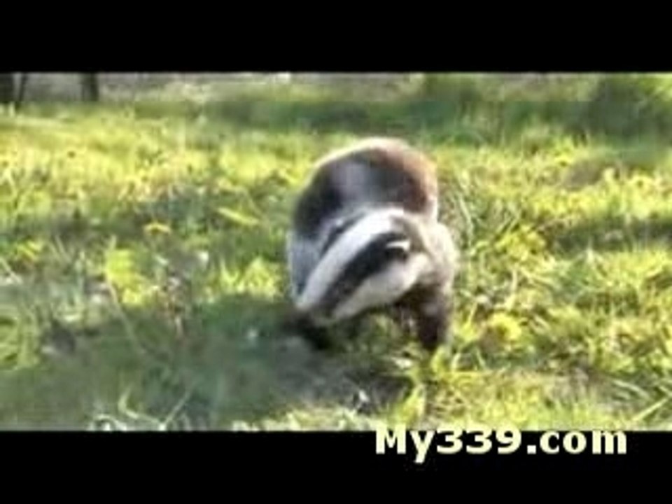 Stop Baggering Me!