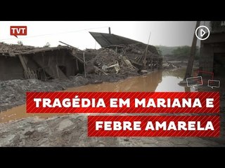 Bióloga vê ligação entre tragédia de Mariana e casos de febre amarela